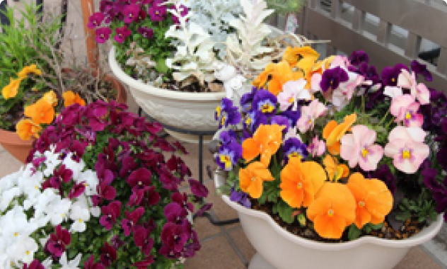 花と緑に包まれた空間